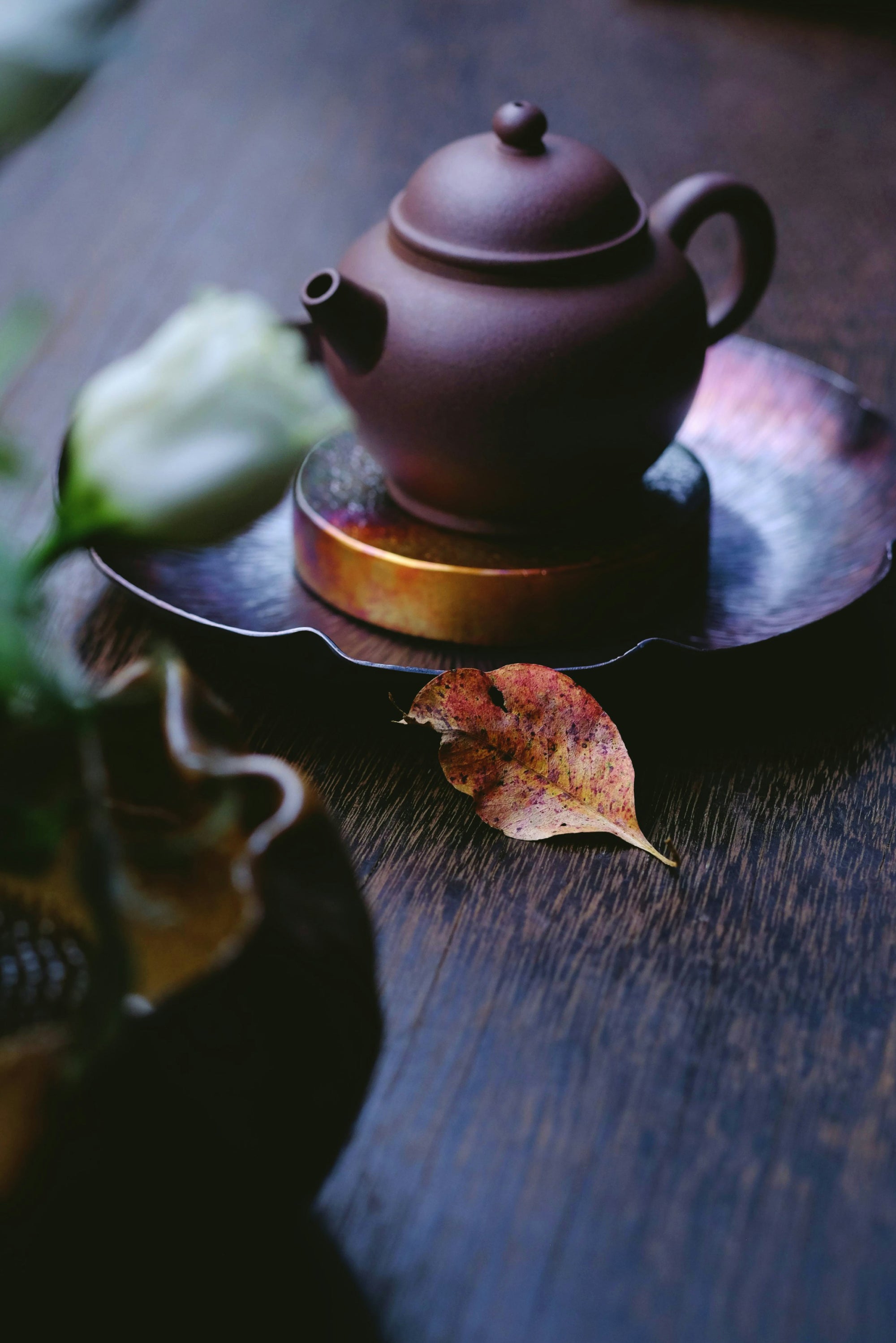 oriento-VloyvGLX_kU-unsplash.webp__PID:03a018a5-e502-4861-bf0d-aa77b9f92d0b